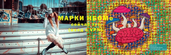 гидра Кукмор