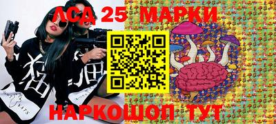 mdpv Владивосток