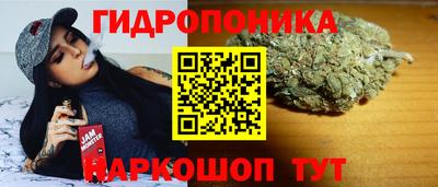 ПСИЛОЦИБИНОВЫЕ ГРИБЫ Владимир