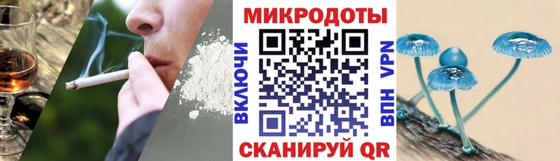 мориарти формула  Лиски  Галлюциногенные грибы Cubensis 